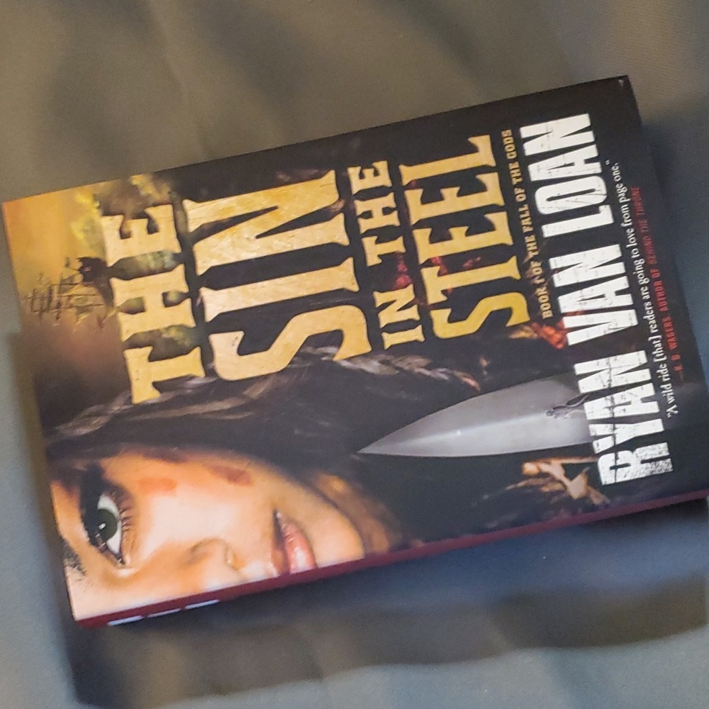 The‎ Sin Is In The Steel a novel